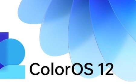 Introducing ColorOS 12, Everything You Need to Know