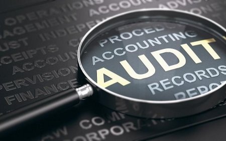 What is a financial audit?