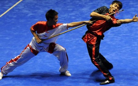 Combat sports - seven Olympic disciplines