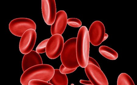 Anemia and its types - learn more about it
