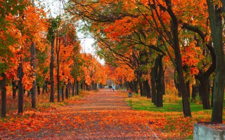 Autumn not only on the couch. Get in shape!