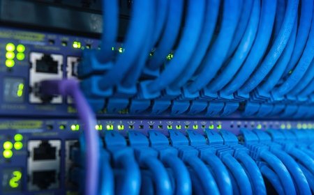 6 most important elements of the Internet