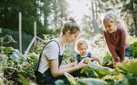 A Fed Mind - How Food Affects Our Emotions and Learning Ability