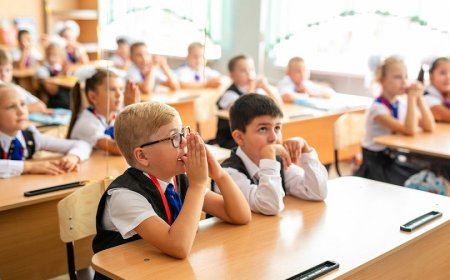 The modern education system in western countries