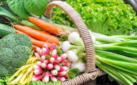 The best cancer-preventing vegetables