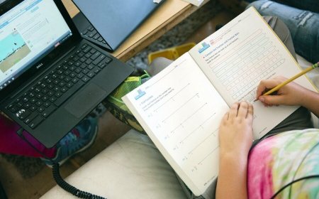 Online School Programs: A New Era in Education