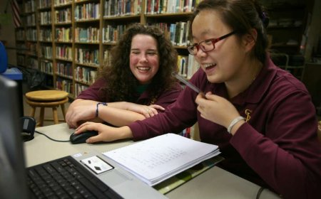 Virtual High Schools: A Revolution in Education