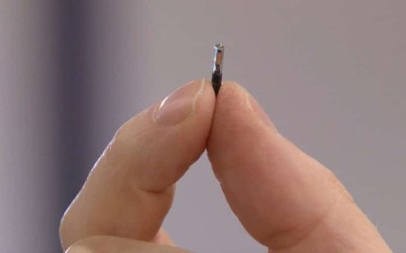 Implications of human identity chips