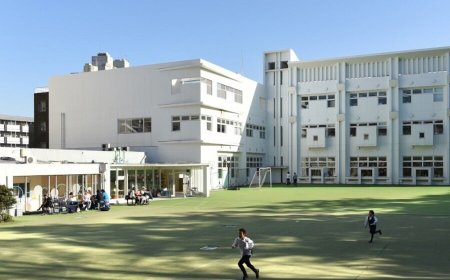 The Education System in Japan: A Comprehensive Overview