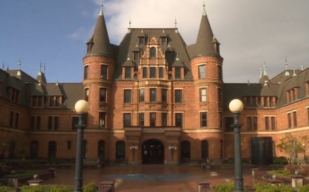 The Education System in the USA: A Comprehensive Overview