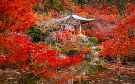 29 Things That Exist Only in Japan