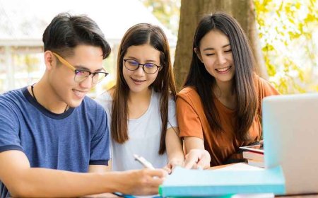 Group Studying vs. Personalized Approach: Which is More Effective for Learning?