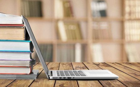 The Challenges of Computer Literacy