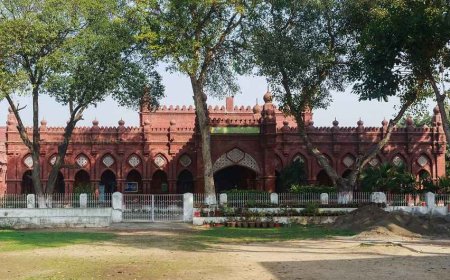 Government schools in Lahore with good facilities
