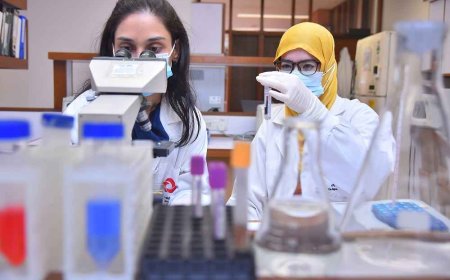 Medical internships in Pakistan