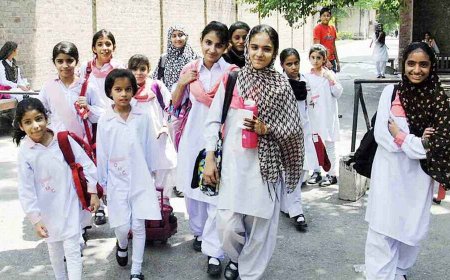 The government of Sindh has declared summer vacation for students.