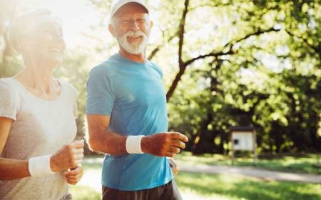 Stay Active and Engaged: The Best Physical Games for seniors