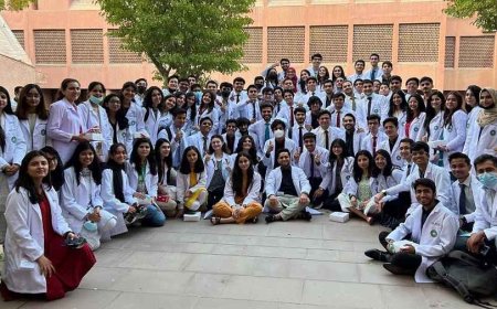Understanding the Cost of Pursuing an MBBS Degree in Pakistan