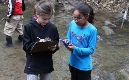 The Importance of Environmental Education for Children