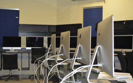 Empowering Creativity Online Graphic Design Courses in Pakistan