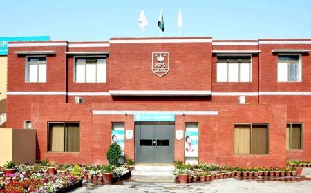 KIPS Group Illuminating the Path of Education