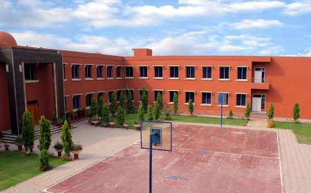 American Lycetuff DNK School System Shaping the Future of Education