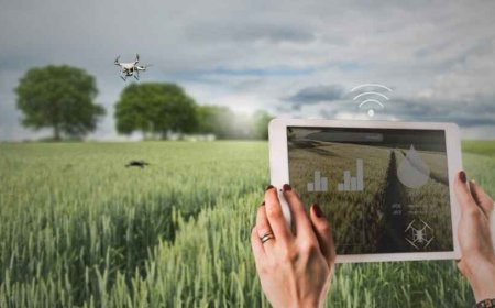 AI applications for environmental sustainability?