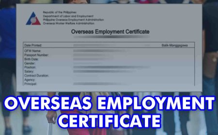 How Can I Apply OEC?