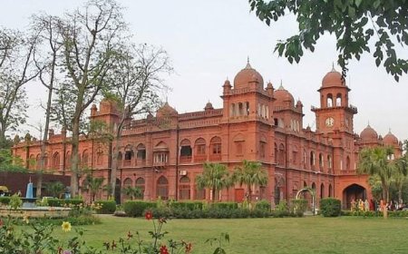 Punjab University Alumni Launch Scholarship Fund for Deserving Students