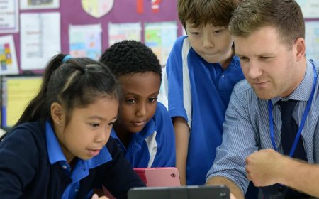 Ranking the Best Business Schools Globally: What Sets Them Apart?