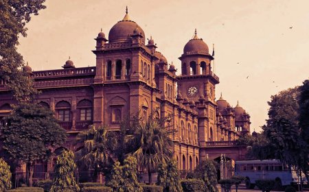 Permanent Vice-Chancellors Appointed for 11 Punjab Universities