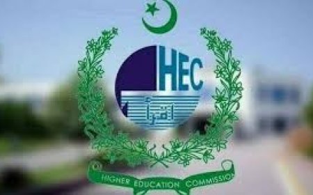 HEC Seeks Government Intervention to Address Funding Delays