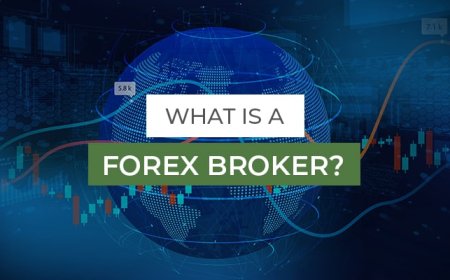 The Role of Forex Brokers in Trading