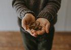 Adapting the 50/30/20 Budget for High-Cost Cities: Practical Allocation Adjustments