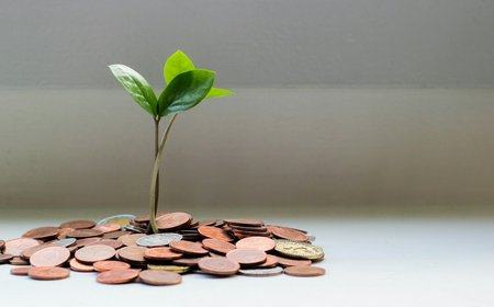 Debt Snowball vs. Debt Avalanche: Which Payoff Strategy Saves You More Money and Time?
