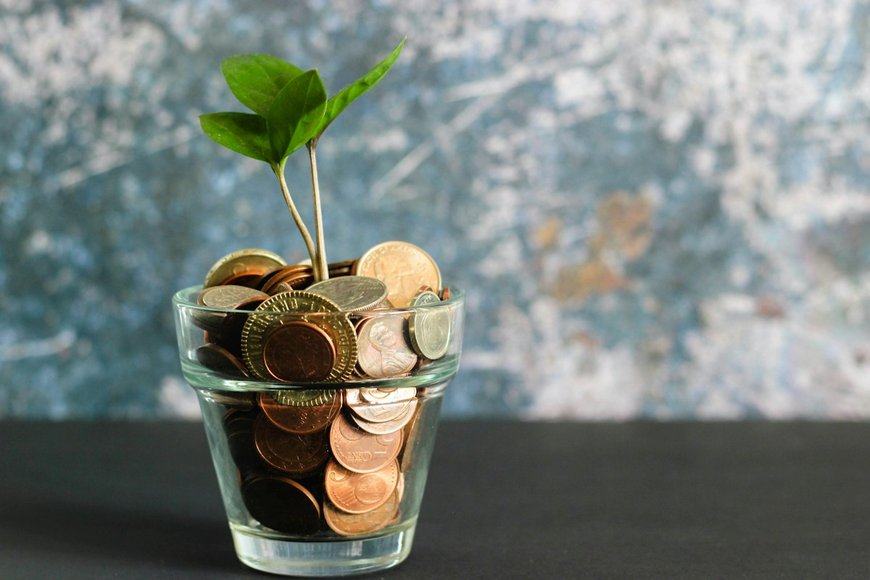 Zero-Based Budgeting vs. the 50/30/20 Rule: Which Method Accelerates Your Net Worth?